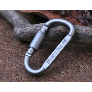 10pcs/lot High-quality aluminum climbing buckle multi-function D-shaped fast hook hanging d-shaped mountaineering deduction