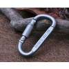 10pcs/lot High-quality aluminum climbing buckle multi-function D-shaped fast hook hanging d-shaped mountaineering deduction
